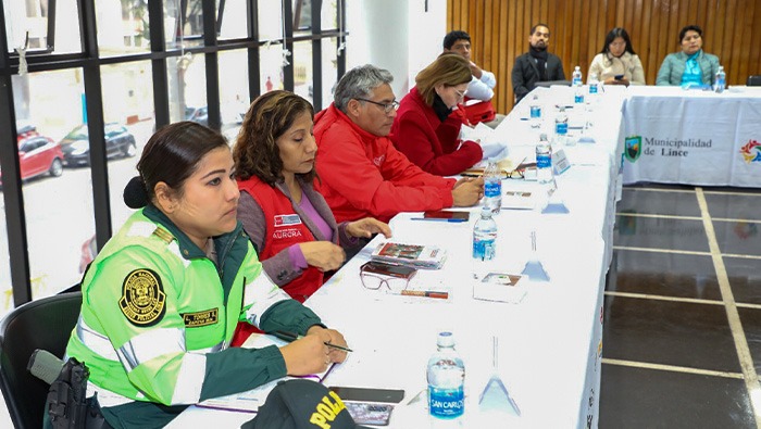 Lince refuerza trabajo articulado para la inclusión social con II sesión de la IAL DIS