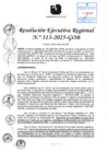 Vista preliminar de documento RER 313-2025-GOB