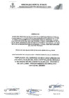 Vista preliminar de documento BASES PROCESO DE SELECCION N°003-2025-OXI-MDM-Ley29230-Parte 1