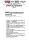 Vista preliminar de documento CAS 055-2025 - CIST