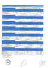Vista preliminar de documento resultados finales 728-003