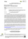 Vista preliminar de documento OFICIO MULTIPLE-000169-2025-DGP