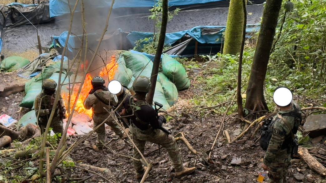 Fuerzas Armadas dan duro golpe al narcotráfico con operativos en Cusco y Ayacucho