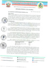 Vista preliminar de documento ORDENANZA MUNICIPAL N° 001-2025-MPA-A