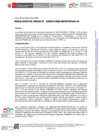 Vista preliminar de documento RU-0213-2025-MIDIS-PNPAIS-UA