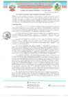 Vista preliminar de documento ACUERDO DE CONCEJO N° 033-2025-MPA-A