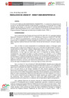 Vista preliminar de documento RU-0217-2025-MIDIS-PNPAIS-UA