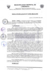 Vista preliminar de documento RESOLUCION DE ALCALDIA N°10