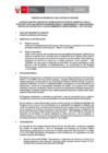 Vista preliminar de documento TDR
