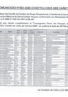 Vista preliminar de documento Comunicado N° 03 - Aptos y No Aptos - CGO y CLC 2025 - 02.06.2025