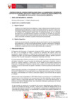 Vista preliminar de documento TDR