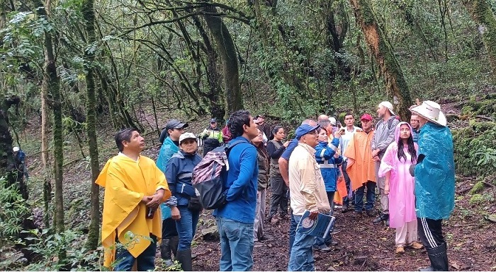 Bosque de Cachil