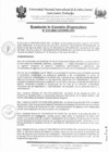Vista preliminar de documento RCO-N°210-2025-CO-UNISCJSA