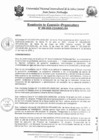 Vista preliminar de documento RCO-N°209-2025-CO-UNISCJSA