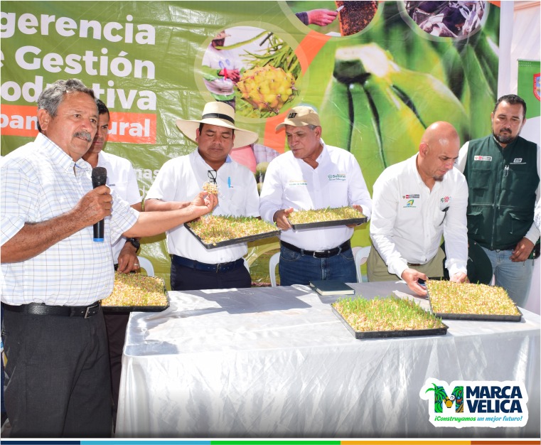 trabajando en conjunto para que los productores impulsen su desarrollo