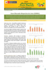 Vista preliminar de documento Boletín de Abastecimiento y Precios Mayoristas GMML y MM Nº 2 - 02/06/2025