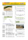Vista preliminar de documento Boletín de abastecimiento y precio del ARROZ - 02/06/2025