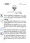 Vista preliminar de documento RD N°071-2025-SA-DG-INR