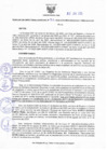 Vista preliminar de documento Resolucion 207