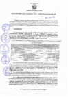 Vista preliminar de documento Resolucion 209