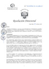 Vista preliminar de documento RD N°176-05-2025-DE-HCLLH-MIN SA