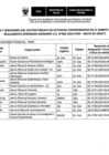 Vista preliminar de documento Lista de sujetos obligados en el sector público en el ámbito de la Ley 31564 - INMP mayo 2025