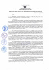 Vista preliminar de documento 0545 - 2025 - HAS