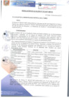Vista preliminar de documento RA012-2017