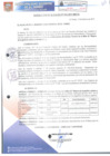 Vista preliminar de documento RA033-2017