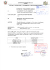 Vista preliminar de documento Registro de Visitas del 01 de enero de 2025 al 30 de abril de 2025