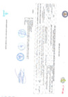 Vista preliminar de documento TERAPIA FISICA