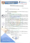 Vista preliminar de documento RA077-2017