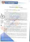 Vista preliminar de documento RA101-2017