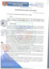 Vista preliminar de documento RA108-2017
