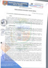 Vista preliminar de documento RA106-2017