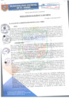 Vista preliminar de documento RA111-2017