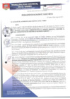 Vista preliminar de documento RA110-2017