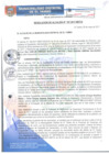 Vista preliminar de documento RA107-2017