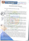 Vista preliminar de documento RA115-2017