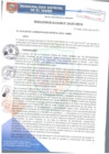Vista preliminar de documento RA124-2017