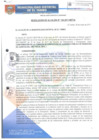 Vista preliminar de documento RA126-2017