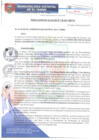 Vista preliminar de documento RA136-2017