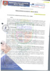 Vista preliminar de documento RA143-2017