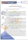 Vista preliminar de documento RA135-2017