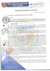 Vista preliminar de documento RA153-2017