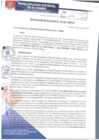 Vista preliminar de documento RA157-2017