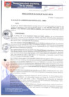 Vista preliminar de documento RA164-2017