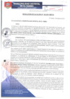 Vista preliminar de documento RA163-2017