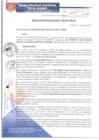 Vista preliminar de documento RA168-2017