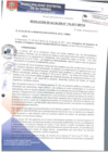 Vista preliminar de documento RA176-2017